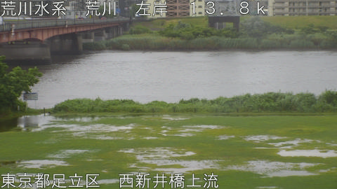 arani2026060315_image