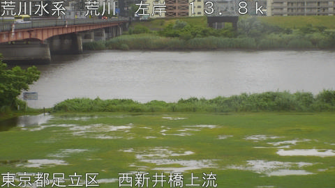 arani2026060316_image