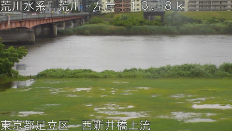 arani2026060317_image