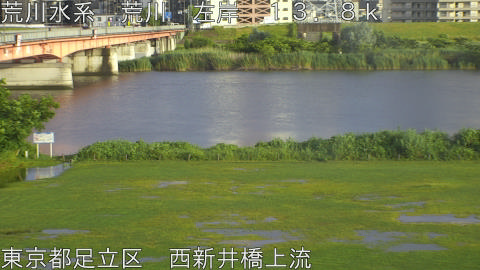 arani2026060318_image