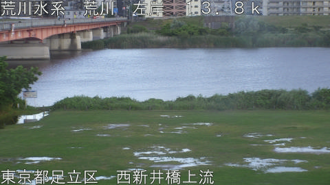 arani2026060319_image
