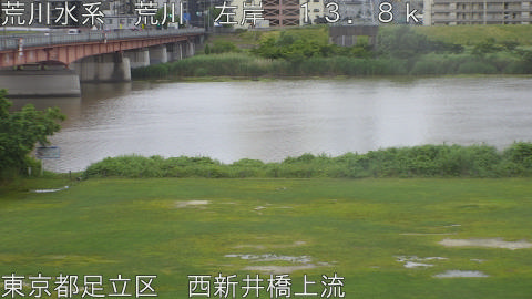 arani2026060406_image