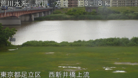 arani2026060407_image