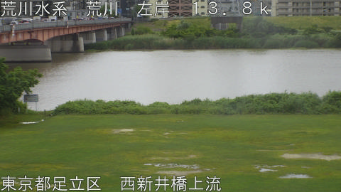 arani2026060408_image