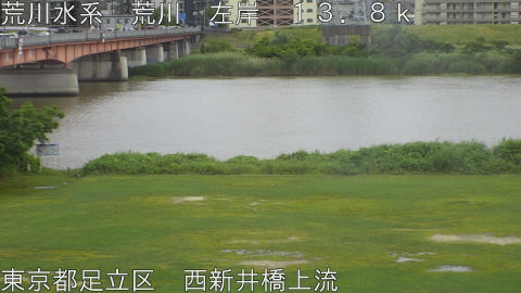 arani2026060409_image