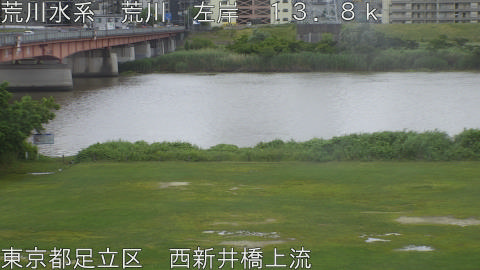 arani2026060410_image