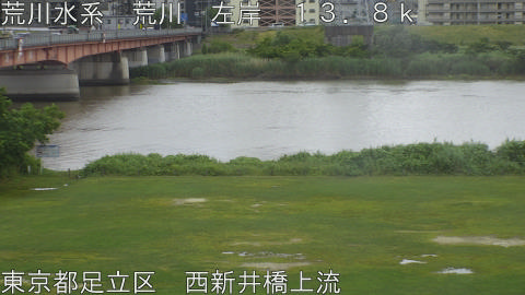arani2026060411_image