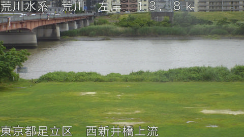arani2026060413_image