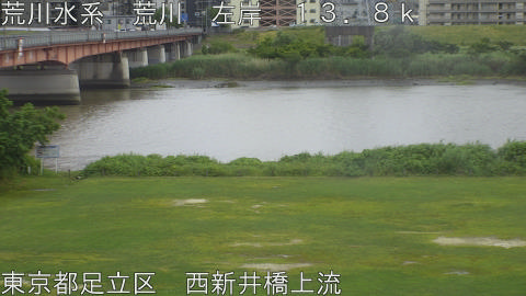 arani2026060414_image
