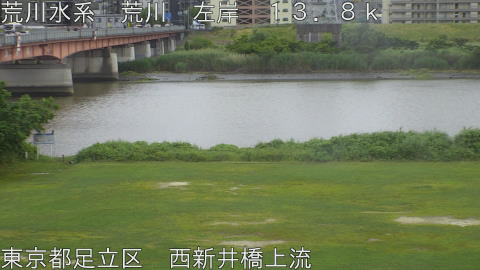 arani2026060415_image
