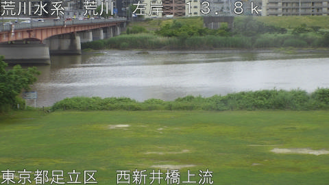 arani2026060416_image