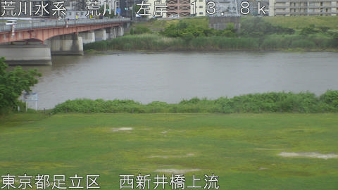 arani2026060417_image