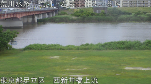 arani2026060418_image