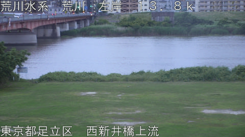 arani2026060419_image