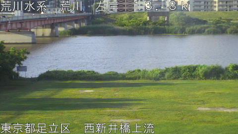 arani2026060506_image