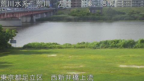 arani2026060507_image