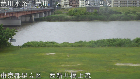 arani2026060510_image