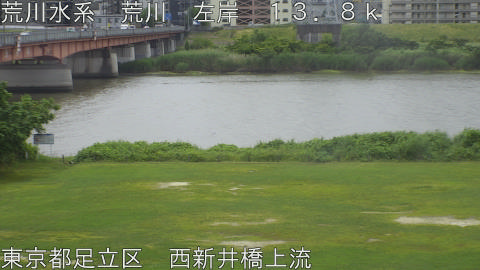 arani2026060511_image