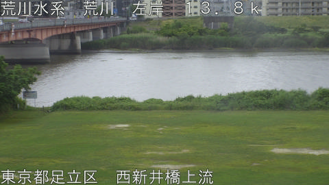 arani2026060512_image