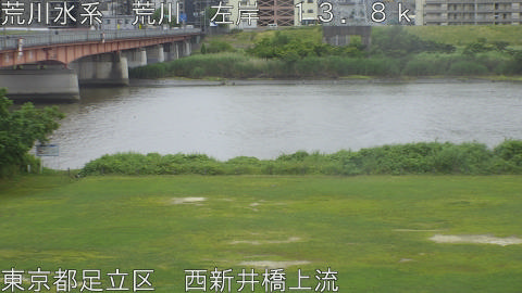 arani2026060513_image