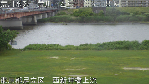 arani2026060514_image