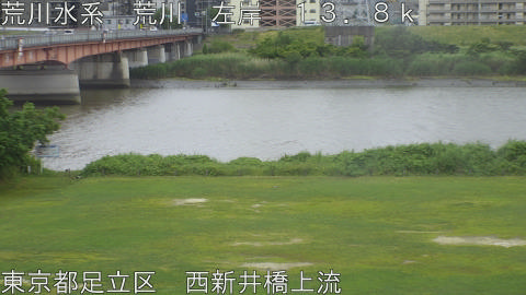 arani2026060515_image
