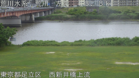 arani2026060516_image