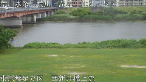 arani2026060517_image