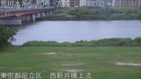 arani2026060519_image