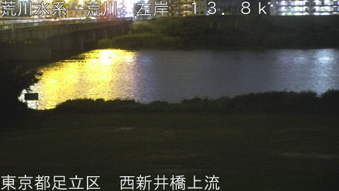 arani2026060521_image