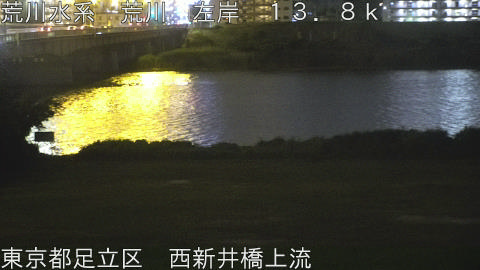 arani2026060523_image