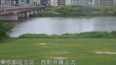 arani2026060606_image