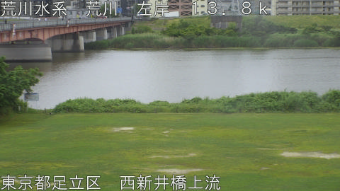 arani2026060607_image
