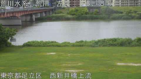 arani2026060608_image