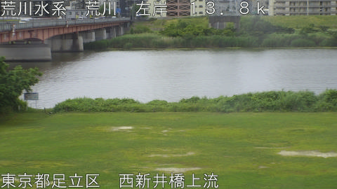 arani2026060609_image