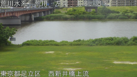 arani2026060610_image