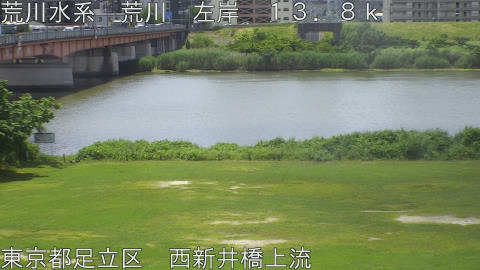 arani2026060611_image