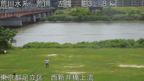 arani2026060612_image