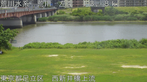 arani2026060613_image