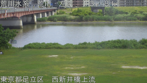 arani2026060614_image