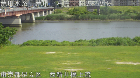 arani2026060615_image