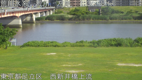 arani2026060616_image