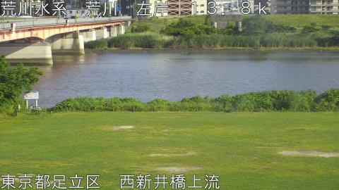 arani2026060617_image