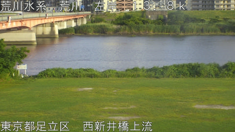 arani2026060618_image
