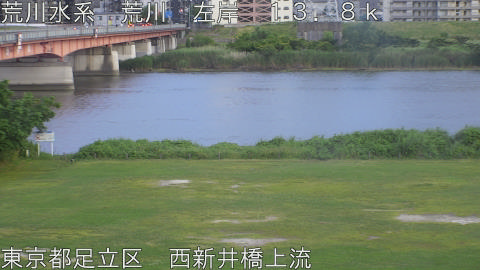 arani2026060619_image