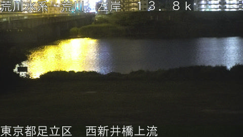 arani2026060704_image