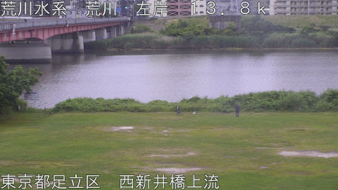 arani2026060705_image