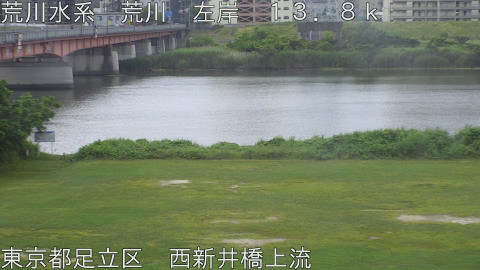 arani2026060706_image