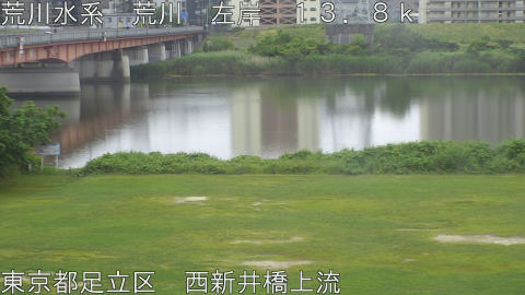 arani2026060707_image