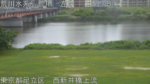 arani2026060709_image